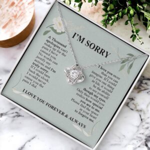 I'm Sorry A Thousand Apologies - Love Knot Necklace - Apology Gifts for Her